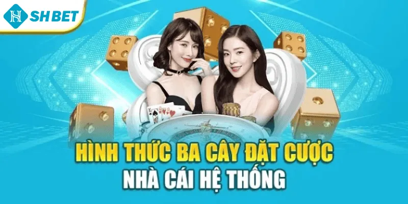 Hình thức Ba cây đặt cược nhà cái hệ thống