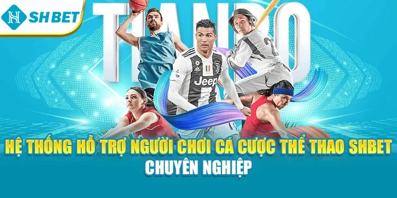 Hệ thống hỗ trợ người chơi cá cược thể thao SHBET chuyên nghiệp