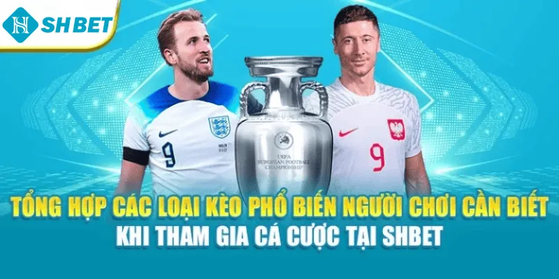 Tổng hợp các loại kèo phổ biến người chơi cần biết khi tham gia cá cược tại Shbet